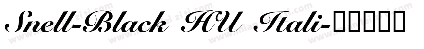 Snell-Black HU Itali字体转换